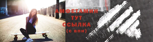 ECSTASY Богданович