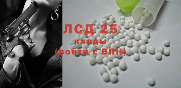 ECSTASY Богданович