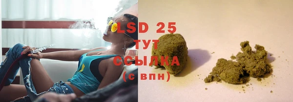 ECSTASY Богданович
