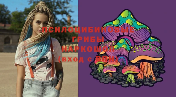 ECSTASY Богданович