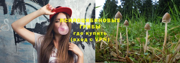 ECSTASY Богданович