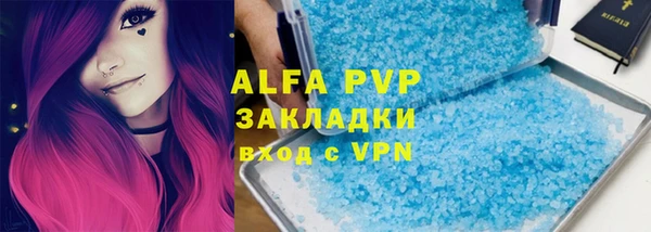ECSTASY Богданович