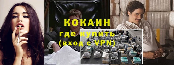 ECSTASY Богданович