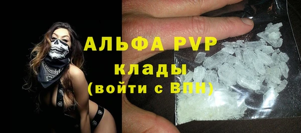 ECSTASY Богданович