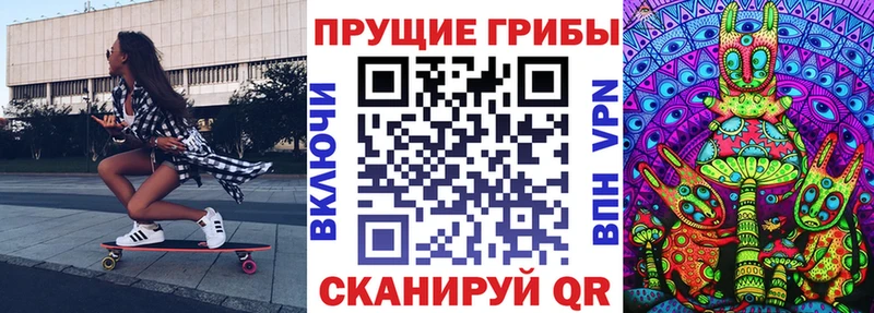 наркота  Мурманск  Галлюциногенные грибы Cubensis 